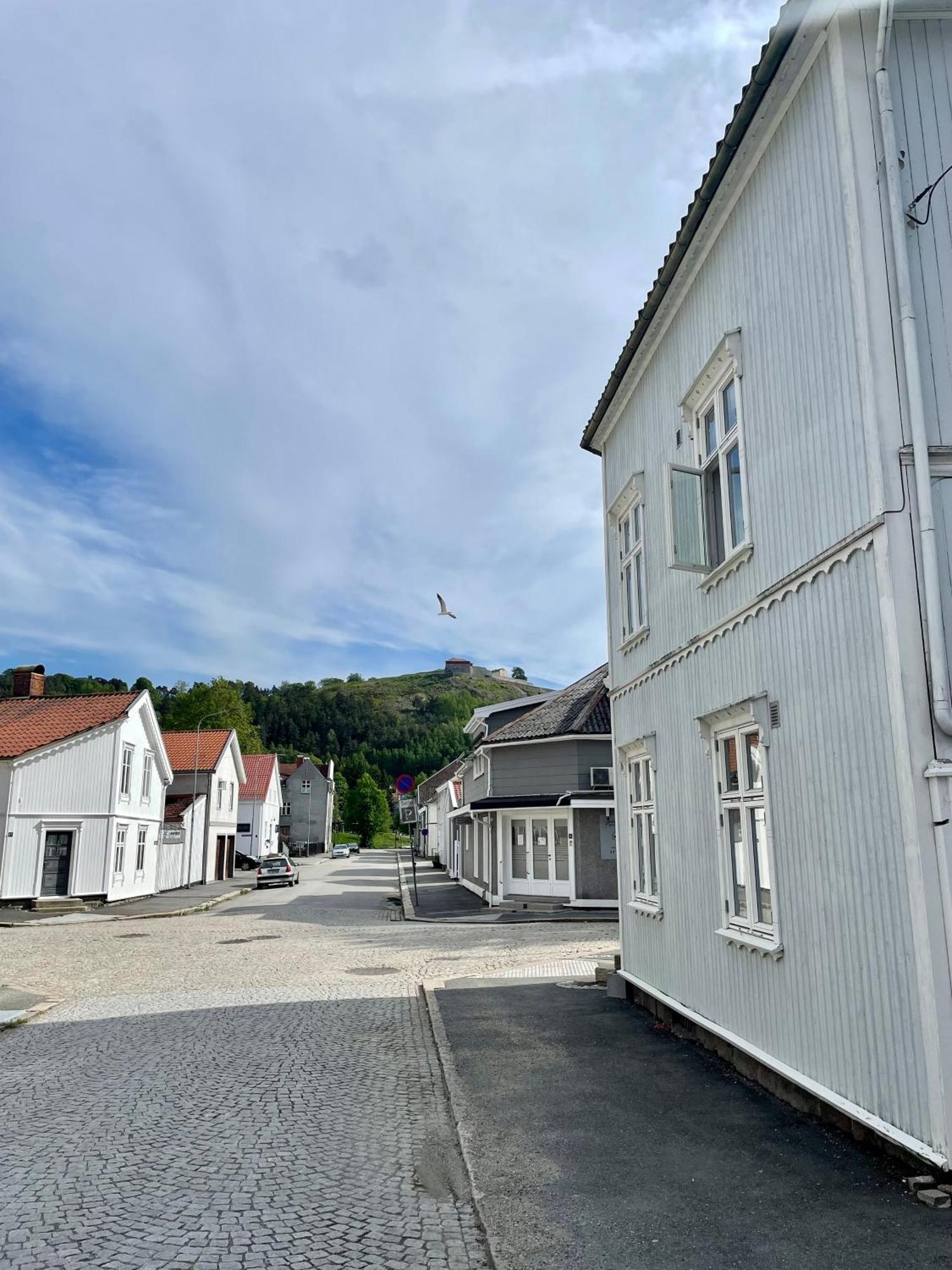 Sentral Og Fargerik Bygardsleilighet Halden Eksteriør bilde